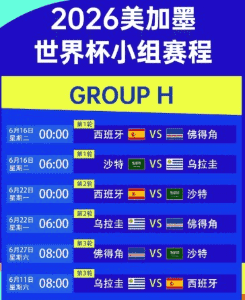 世界杯赛场激烈拼抢瞬间